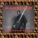 NEW WORLD POWER