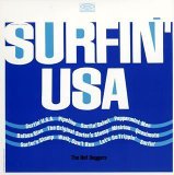 SURFIN' USA/ LIM PAPER SLEEVE