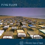A MOMENTARY LAPSE OF REASON(1987)