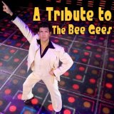 TRIBUTE TO BEE GEES