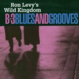 B-3 BLUES AND GROOVES