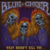 WHAT DOESN'T KILL YOU(180GR,AUDIOPHILE)