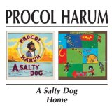 HOME/A SALTY DOG
