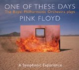 PLAYS PINK FLOYD/ ONE OF THESE DAYS