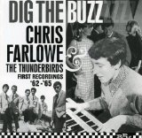 DIG THE BUZZ(FIRST RECORDING 1962-1965)